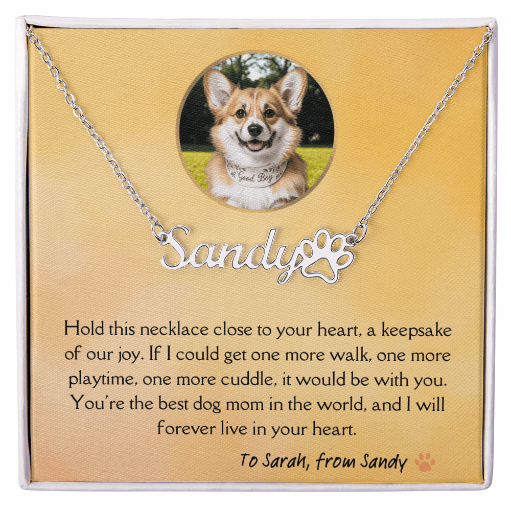 Personalized dog memorial necklace with custom name and paw charm – pet loss sympathy gift for dog moms