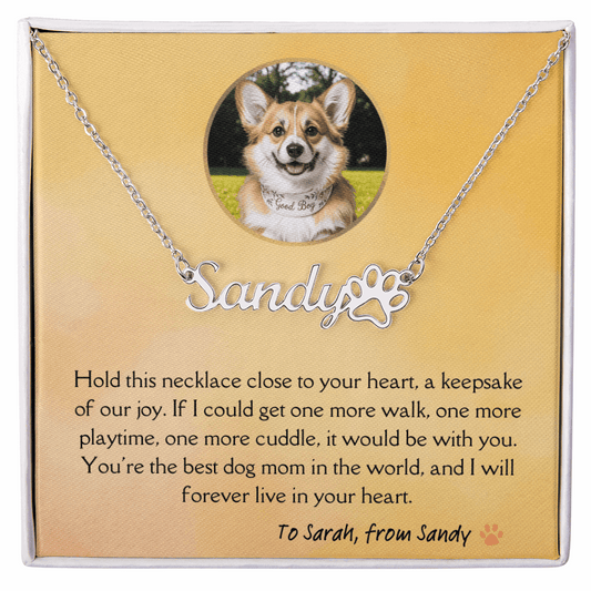 Personalized dog memorial necklace with custom name and paw charm – pet loss sympathy gift for dog moms